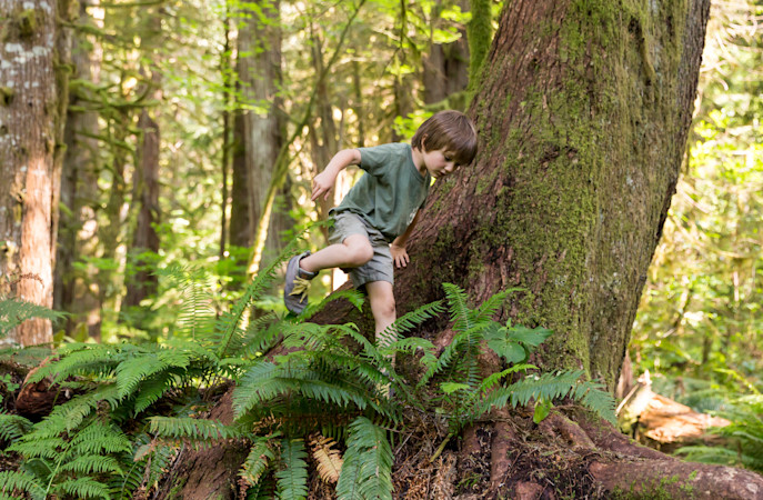 Outdoor Homeschool nature program in Portland and Sandy Oregon