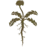 Wilders Guild sigil