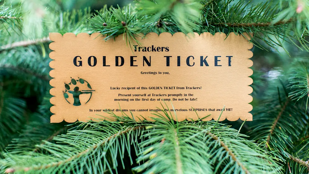A Trackers Golden Ticket to Camp tucked into the branches of a fir tree