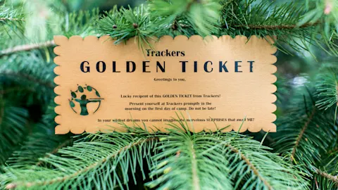 A Golden Ticket in the branches of a fir tree