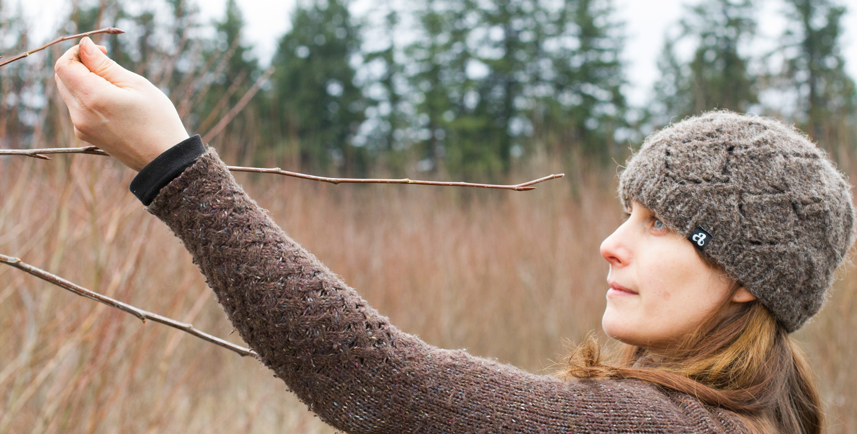 Founder Stewardship Boundary