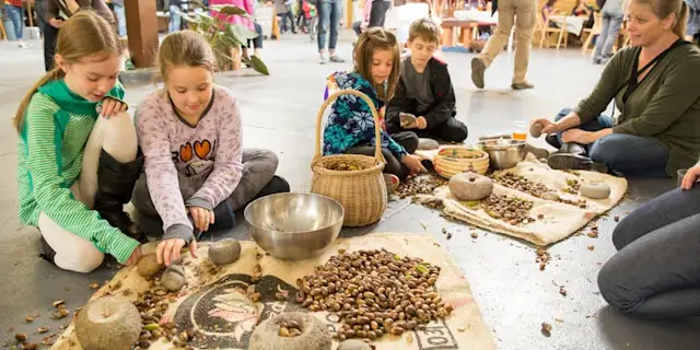 Kids and a Guide sorting acorns at Trackers Skills Night
