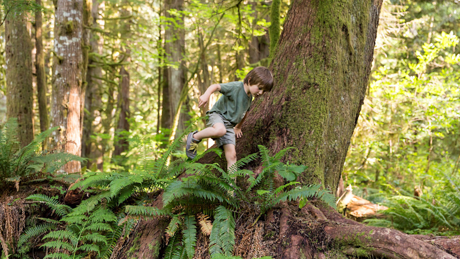 Homeschool crew in the forest