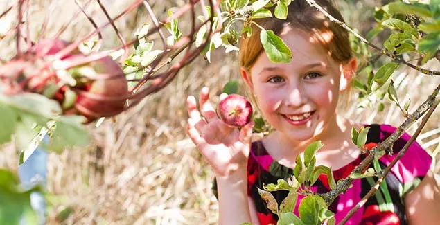 Forest and farm crafts at Trackers