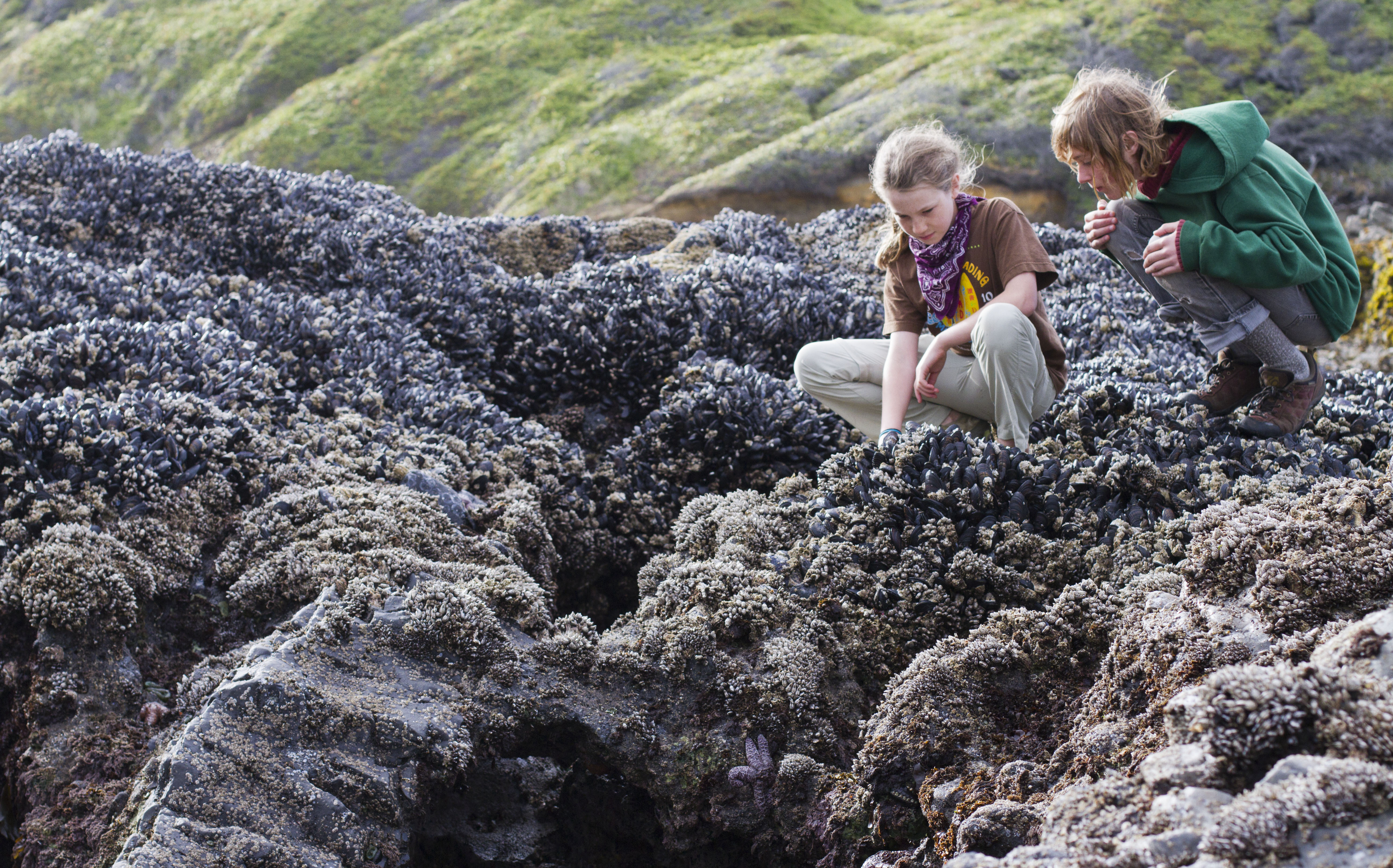 Expedition Camps to the Oregon Coast, Kauai, Alaska, and Belize