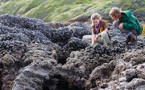 Expedition camps to the Oregon Coast and Kauai